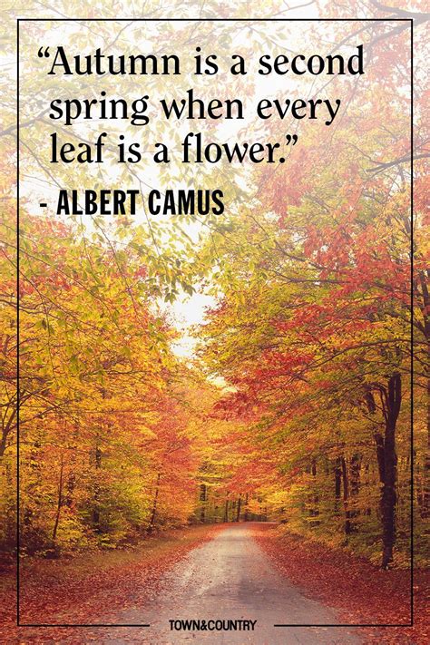 clever autumn sayings